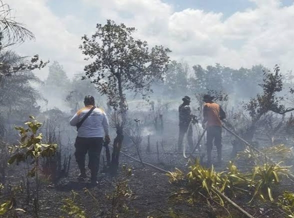 Zuli Eko Minta Pemkab Seruyan Cegah Karhutla