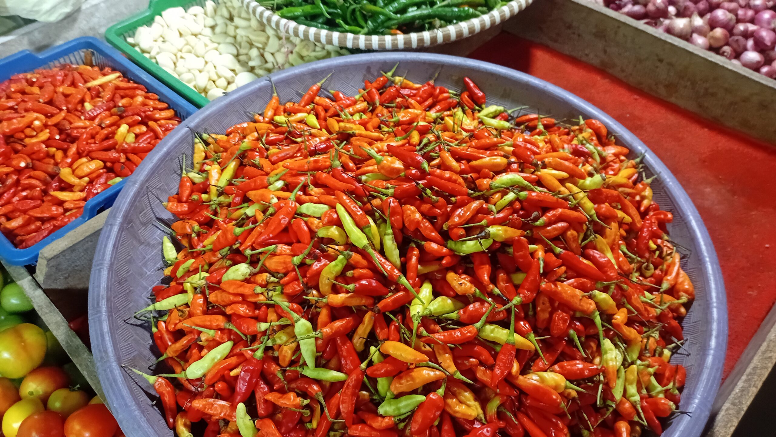 Jelang Ramadhan, Harga Cabai di Sampit Semakin Pedas