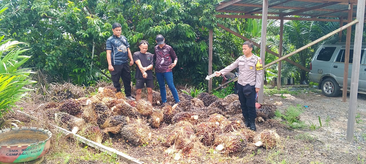 <p>Terduga pelaku pencurian buah kelapa sawit milik PT WNL dengan barang bukti.</p>