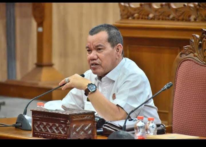 <p>Waket I DPRD Kotim, Juliansyah. </p>