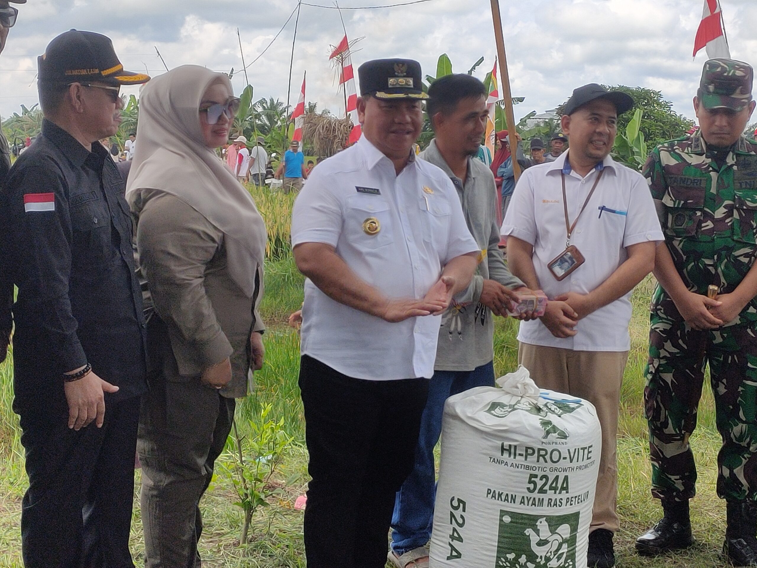 <p>Penyerapan gabah kering hasil panen petani yang dilakukan oleh Bulog, disaksikan langsung oleh Bupati Kotim Halikinnor, di Desa Lampuyang, Senin (7/4/2025).</p>