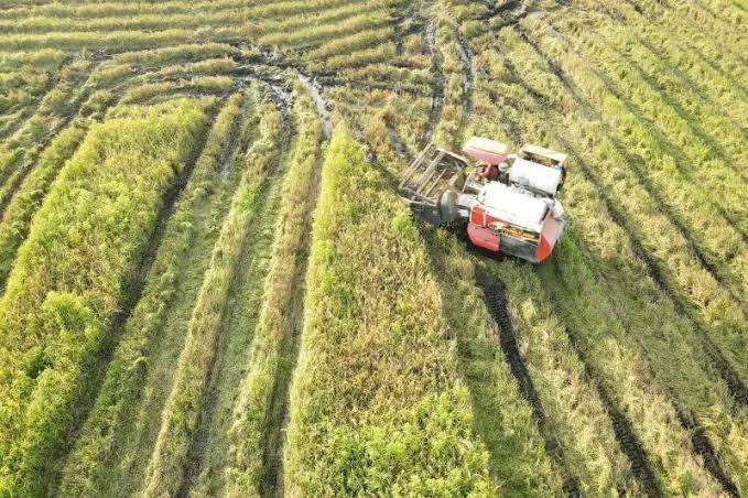 Kelompok Brigade Pangan Desa Persil Raya Telah Dibentuk