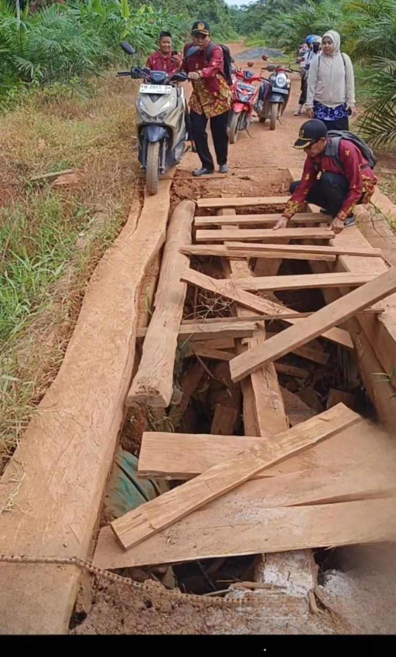<p>Beberapa guru di Terantang saat menyusun papan kayu untuk lewati jembatan menunju Desa Batuah, Jumat (10/10/2025). (Foto: Ist)</p>