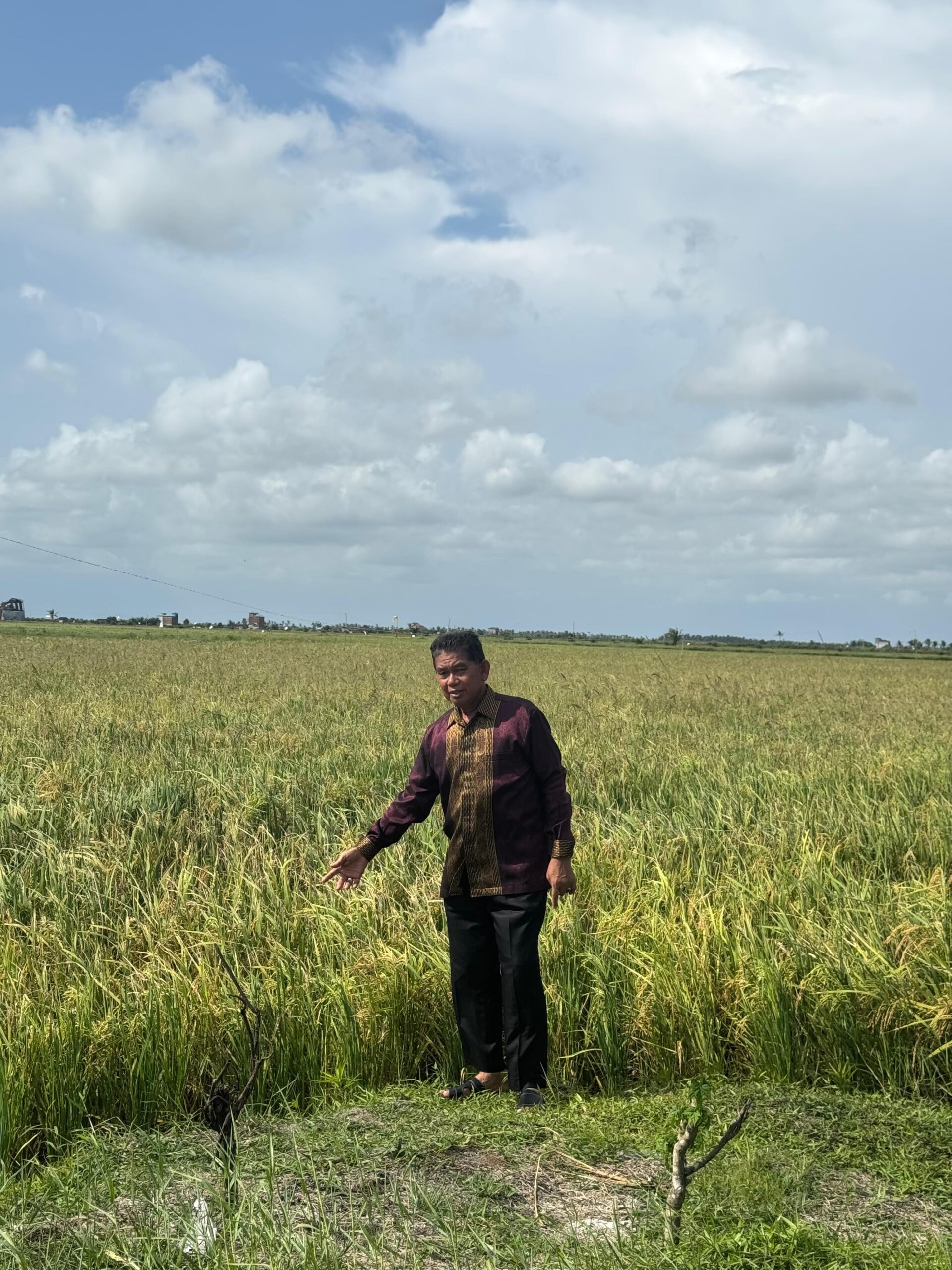 <p>Anggota DPRD Kotim dari Dapil III, Zainuddin saat mengunjungi lahan pertanian di Desa Lempuyang, Kecamatan Teluk Sampit, belum lama ini. (Foto: Ist)</p>