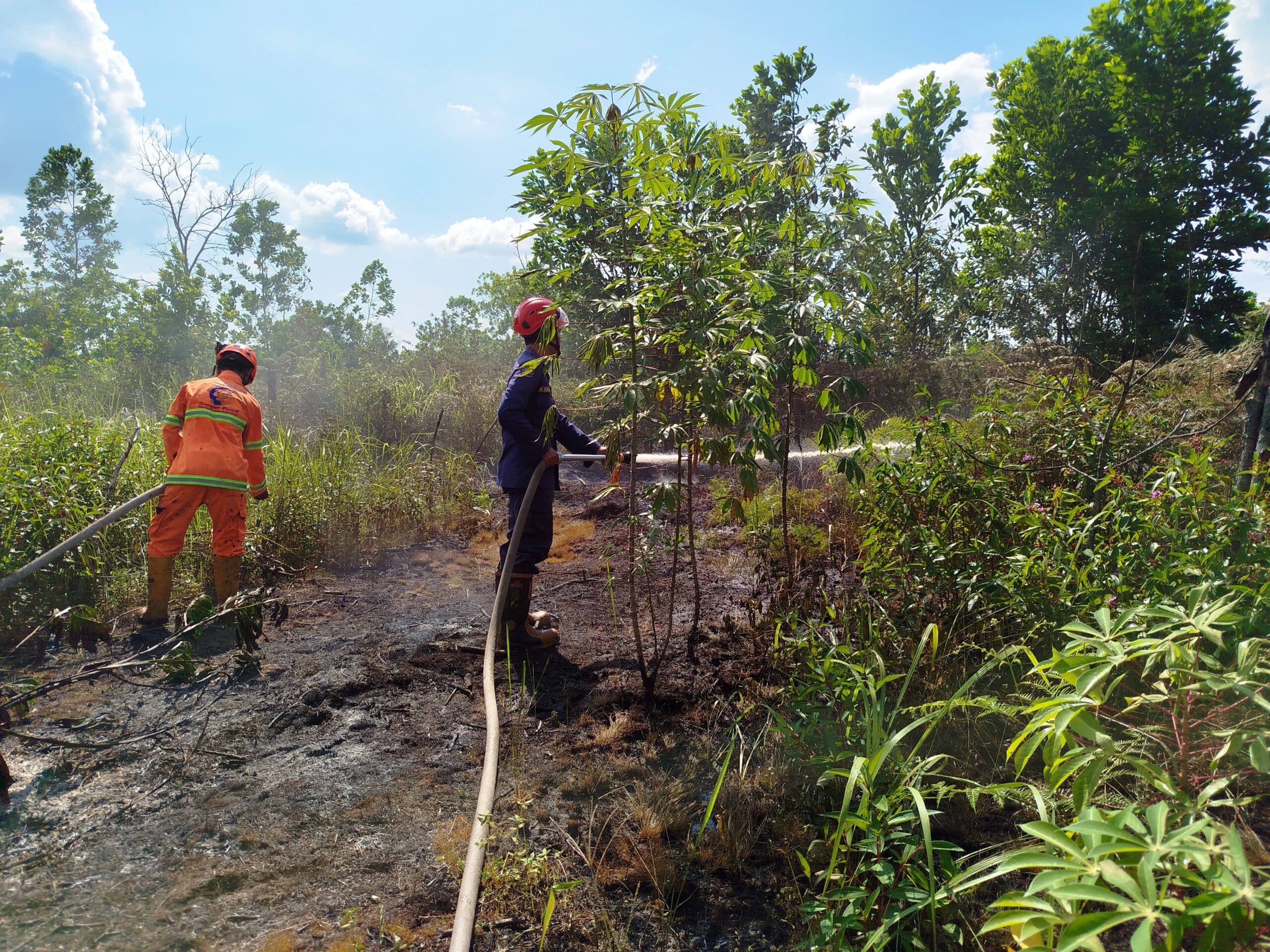 <p>Petugas Disdamkarmat saat melakukan pemadaman kebakaran lahan di Jalan Bumi Raya 1, pada Sabtu (18/10/2025). (Foto: Ist)</p>