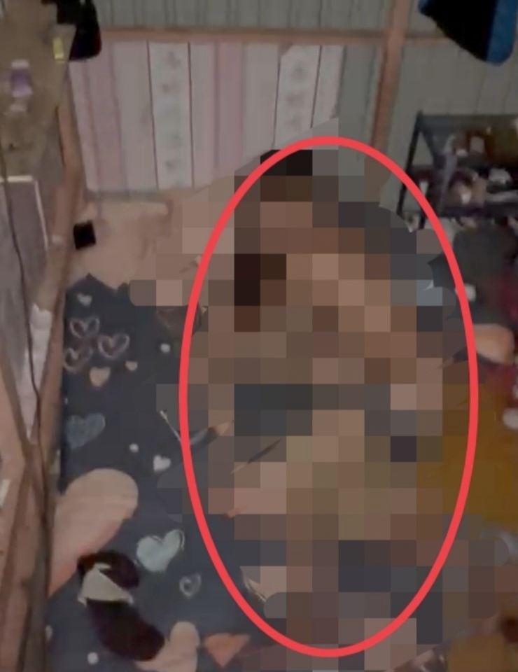 <p>Nampak sepasang remaja diduga tenga melakukan hubungan badan dan terekam video. (Foto : Ist)</p>