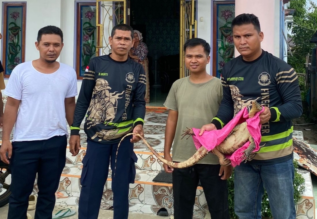 <p>Anggota Satpol PP dan Pemadam Kebakaran saat mengamankan biawak yang masuk rumah warga, Minggu (12/10/2025). (Foto : Ist)</p>