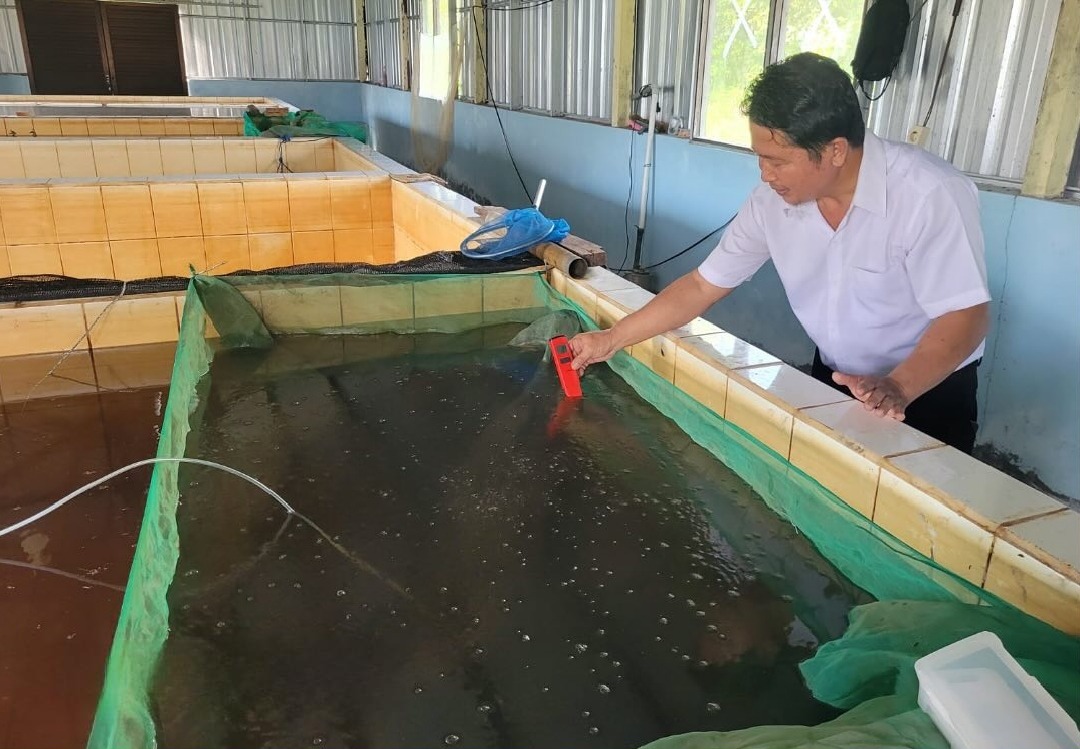 <p>Kepala UPTD Perikanan Budidaya Air Tawar Bagendang saat melakukan proses pembenihan Ikan Mas, Rabu (18/6/2025). </p>