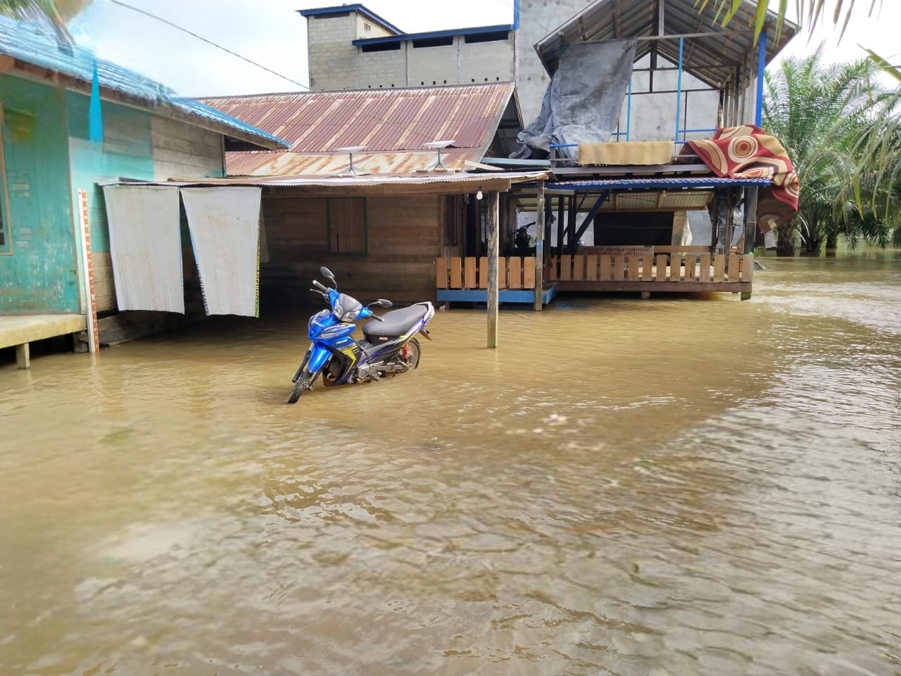 <p>Kondisi banjir yang menggenangi kawasan Tumbang Mujam, Tualan Hulu, Rabu (7/5/2025). </p>