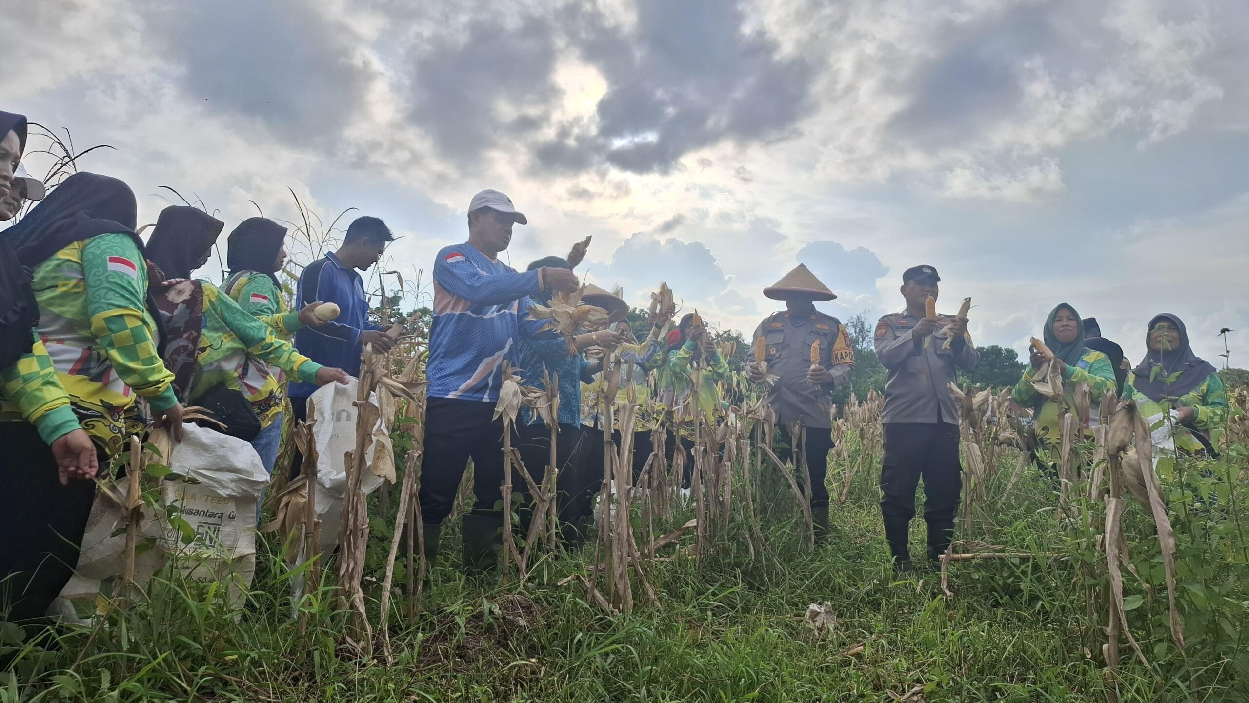<p>Camat Baamang, Sufiansyah bersama Kapolres Kotim, AKP M Romadhon saat melakukan panen jagung pipil, belum lama ini. </p>