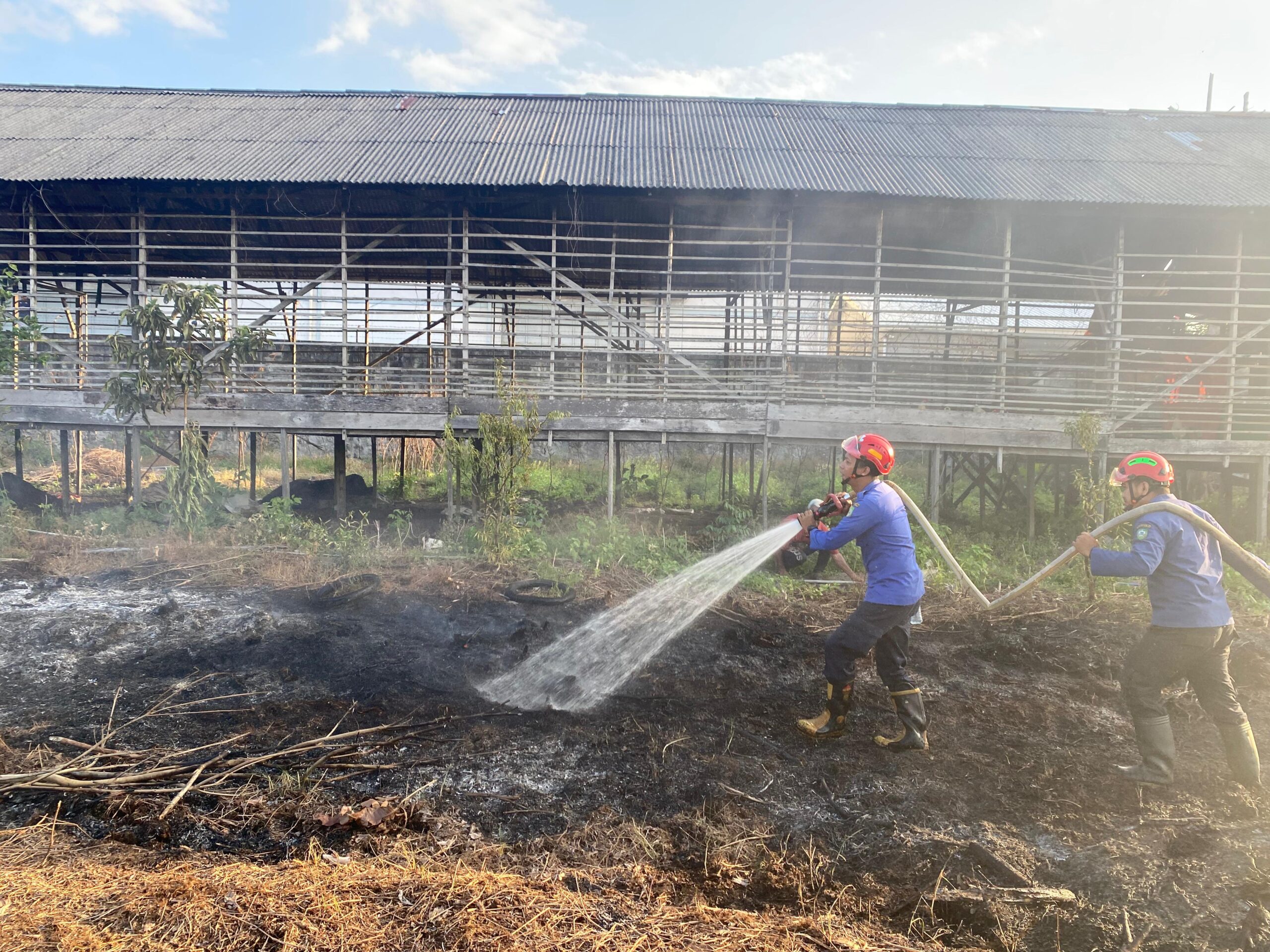 <p>Petugas saat memadamkan kebakaran lahan di Jalan Yadi Kudung, Kelurahan Baamang Hulu, pada Selasa (29/7/2025). (Foto: Ist) </p>
