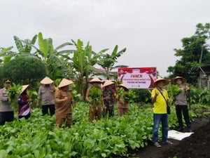 Dukung Ketahanan Pangan, Polsek Ketapang Panen Sayur dan Ikan di Tiga Lokasi