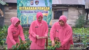 Personel KP XVIII-1004 dan Bhayangkari Dukung Ketahanan Pangan Lewat Pembibitan Lombok