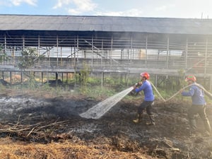 Kebakaran Lahan Kembali Terjadi di Baamang, Dua Titik Terbakar