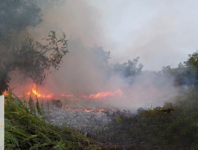 Kebakaran Lahan Kembali Ancam Kota Sampit
