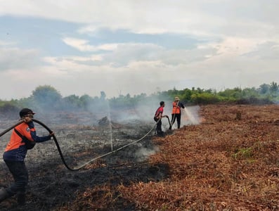Karhutla di Jalan Pramuka, BPBD Kotim Langsung Turun Tangan