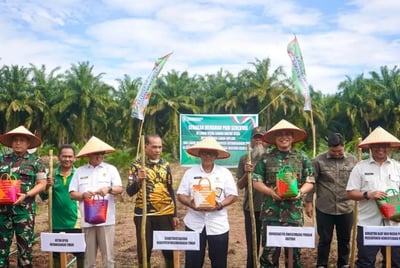 Gerakan Tanam Padi Serentak di Kotim untuk Wujudkan Kemandirian Pangan