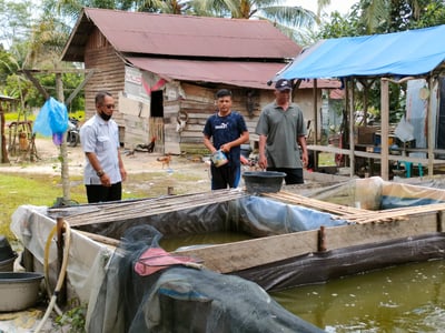 Pabrik Pakan Ikan Kotim Tekan Harga, Ringankan Beban Pembudidaya