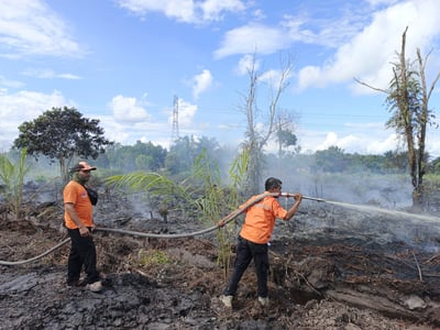 BPBD Kotim Berhasil Padamkan Karhutla di Desa Eka Bahurui