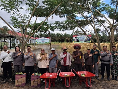 Pemkab Kotim Gelar Panen Raya Jagung Serentak