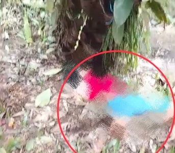 Seorang Pria Ditemukan Tewas di Areal PT SKD, Diduga Bunuh Diri dengan Tali Nilon