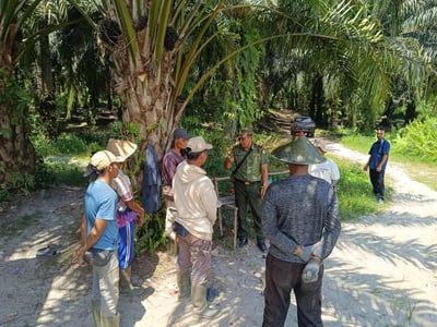 Tambang Emas Ilegal Rusak Kawasan Konservasi di Sebabi