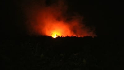 Karhutla Mayoritas Dipicu Ulah Manusia, Bukan Iklim