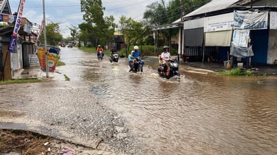 Hujan Lebat Disertai Air Sungai Pasang Rendam 40 Rumah di Sampit