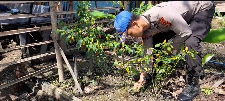 Ditpolairud Polda Kalteng Dukung Pembibitan Lombok Sehat dan Bergizi di Desa Binaan